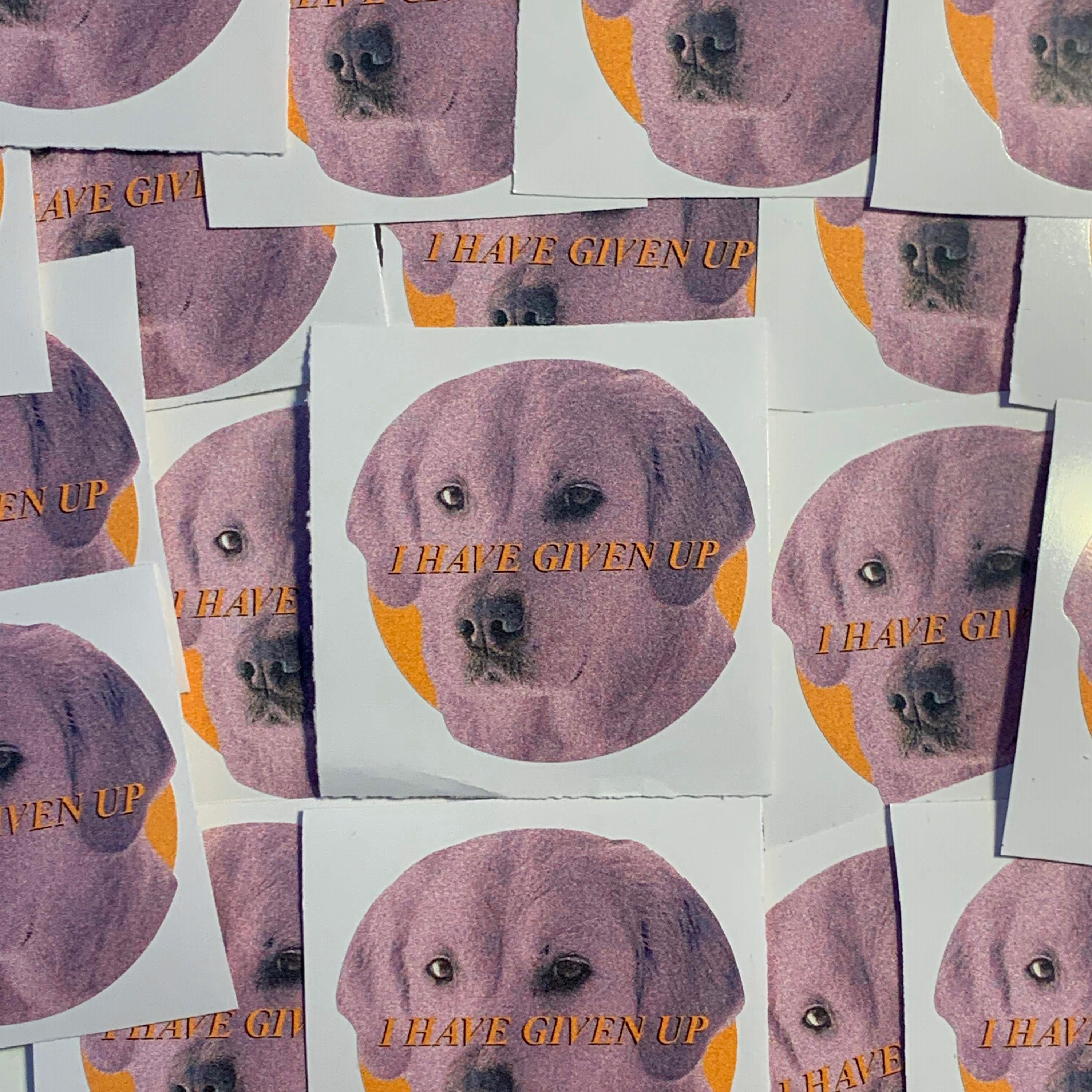 dogecore stickers variety pack no. 2137